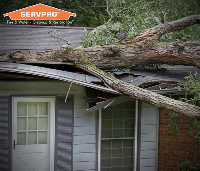A storm caused a tree to break and land on a house.