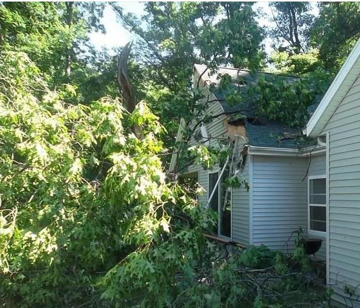 Tree landing on roof of house